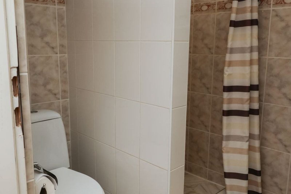 номер 10 (5) - Лісова Казка