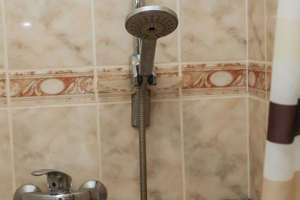 номер 10 (7) - Лісова Казка