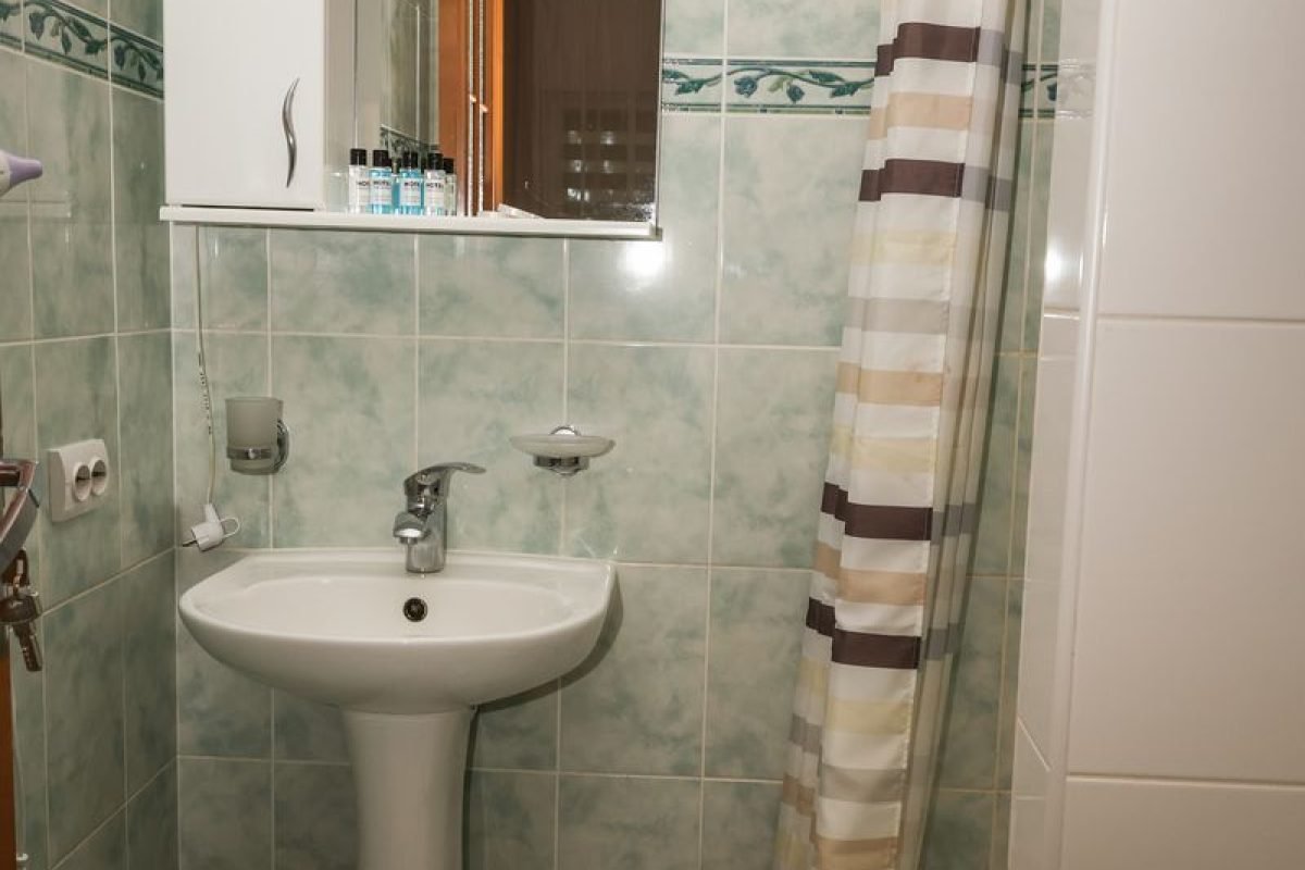 номер 11 (14) - Лісова Казка