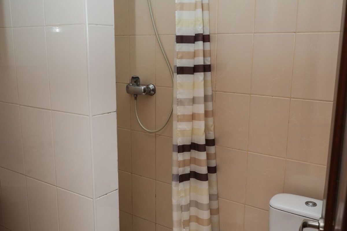 номер 12 (8) - Лісова Казка