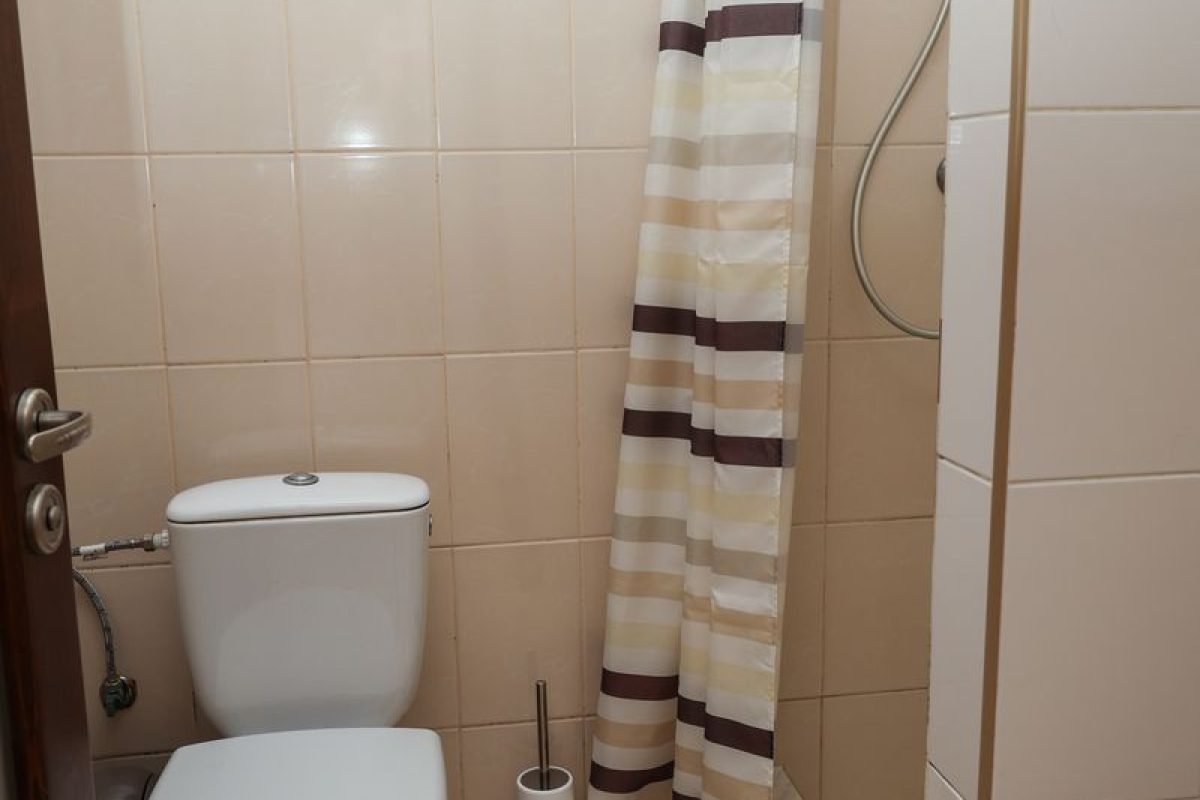 номер 13 (9) - Лісова Казка