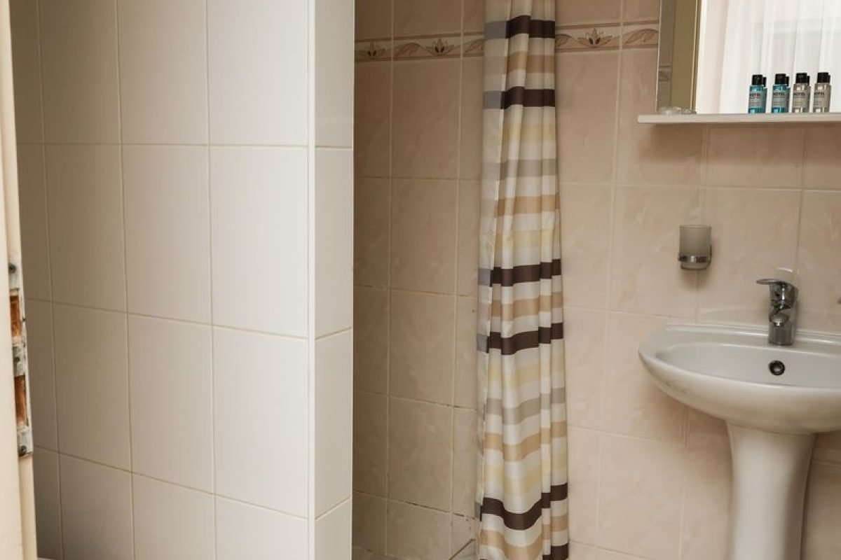 номер 9 (7) - Лісова Казка