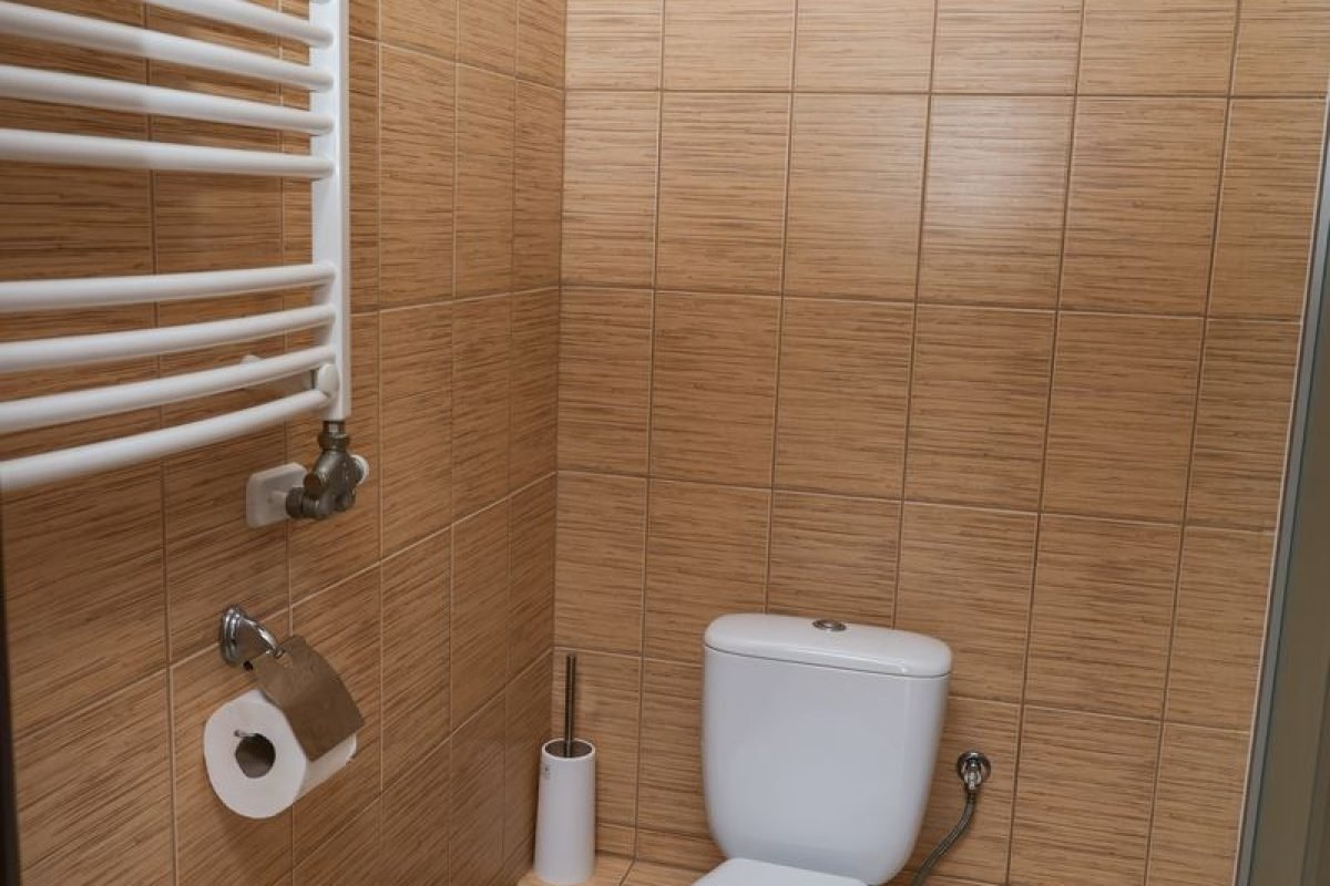 номер 3 (8) - Лісова Казка