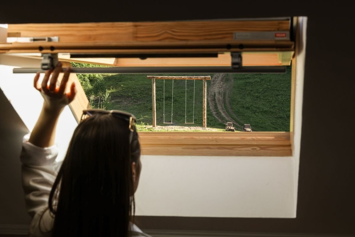 номер 5 (5) - Лісова Казка