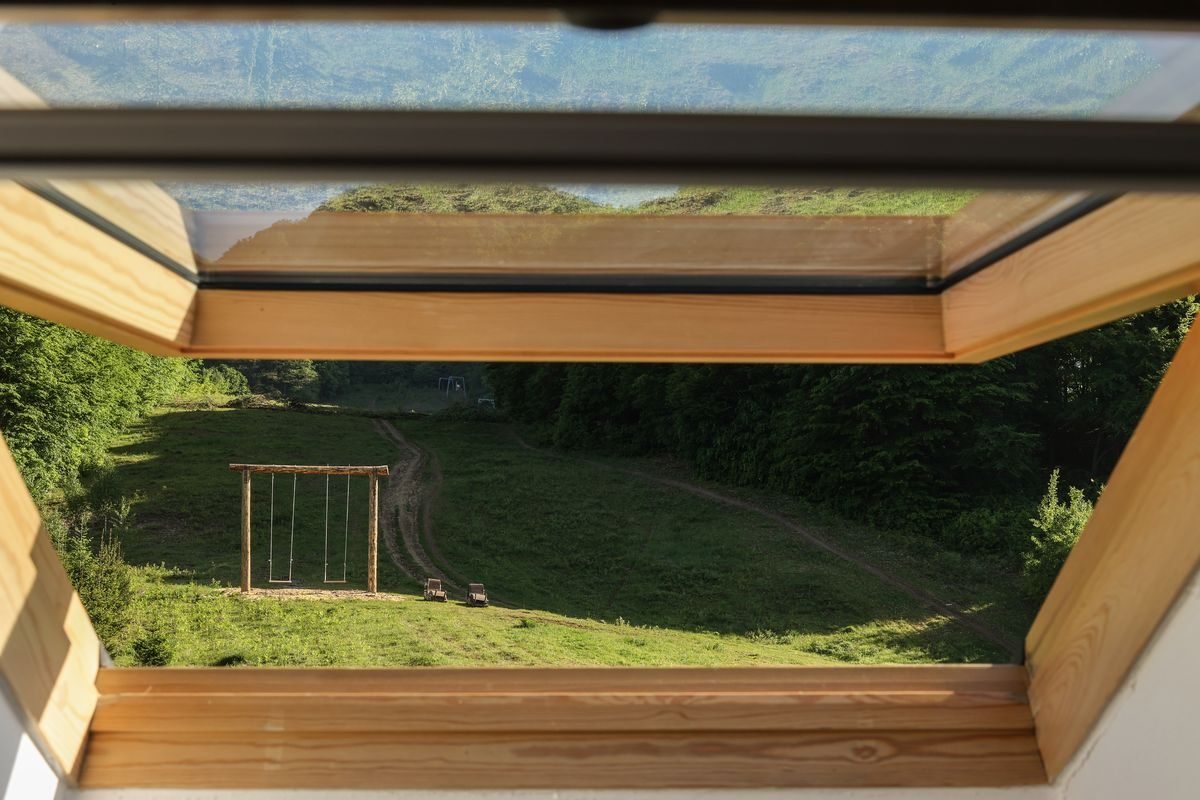 номер 5 (6) - Лісова Казка