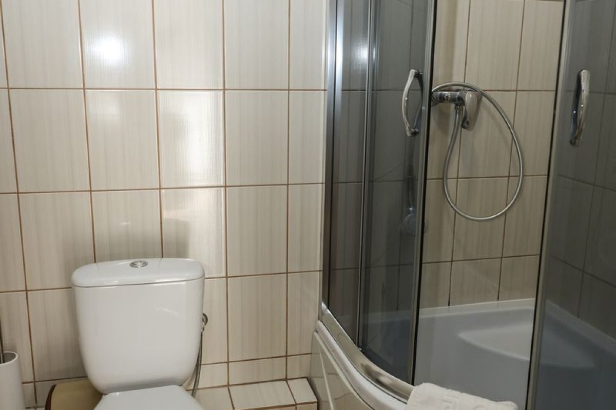 номер 6 (7) - Лісова Казка